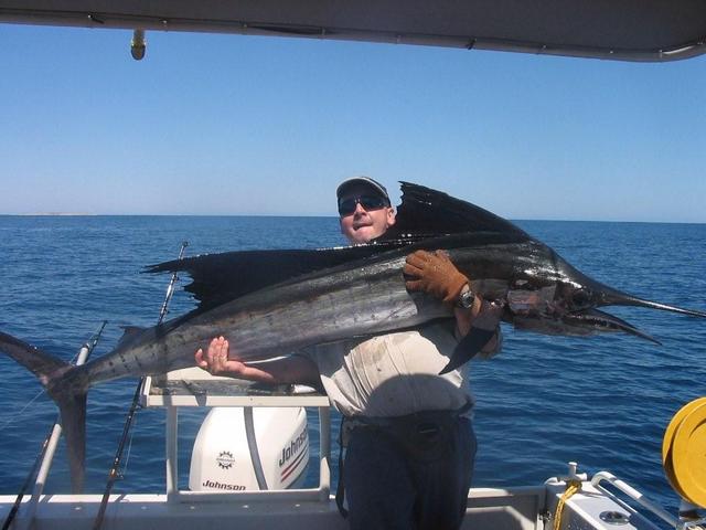 The Skipper (Wayne) & the Sailfish Onslow The Skipper (Wayne) & the Sailfish Onslow